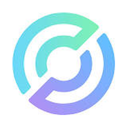 CIRCLE INTERNET GROUP INC