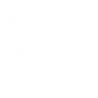 U.S. Air Force Research Laboratory