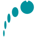 Freiberger Compound Materials