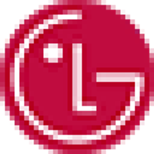 LG Display